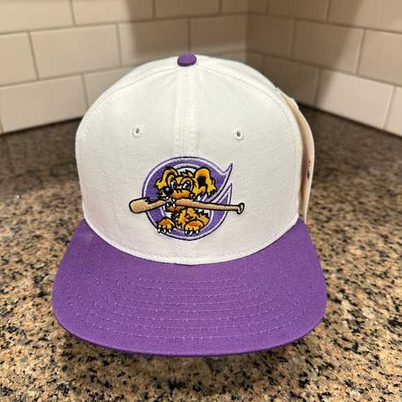 New Era Other - Vtg 90s Charleston RiverDogs MiLB New Era 5950 Pro Model Hat Snapback Wool